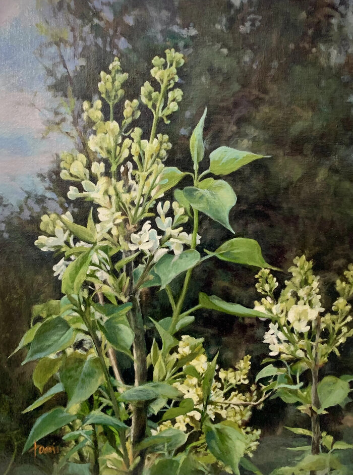 Artwork by Lani Browning, accepted work in the WAOW 54th National Exhibition, Dreamweavers