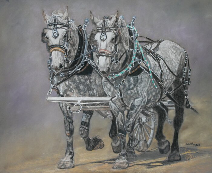 Artwork by Donna Dutra, accepted work in the WAOW 54th National Exhibition, Dreamweavers