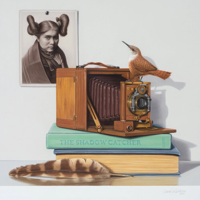 Artwork by Deana Goldsmith, accepted work in the WAOW 54th National Exhibition, Dreamweavers