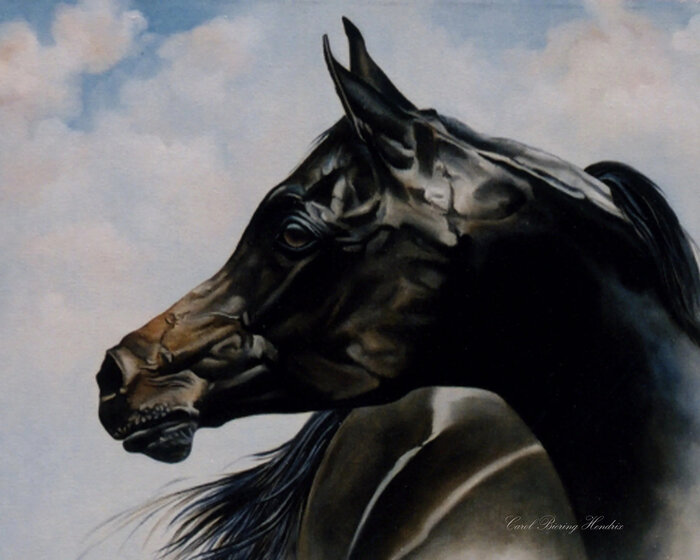 Artwork by Carol Hendrix, accepted work in the WAOW 54th National Exhibition, Dreamweavers