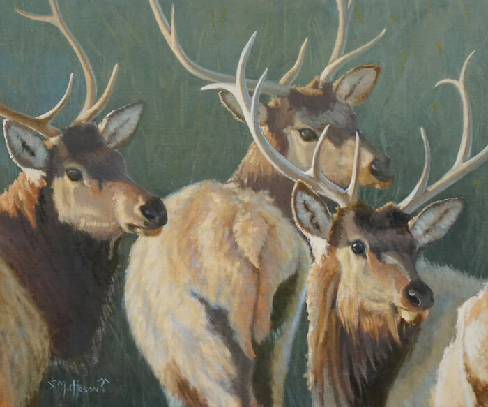 Artwork by Susan Hediger Matteson, accepted work in the WAOW 54th National Exhibition, Dreamweavers