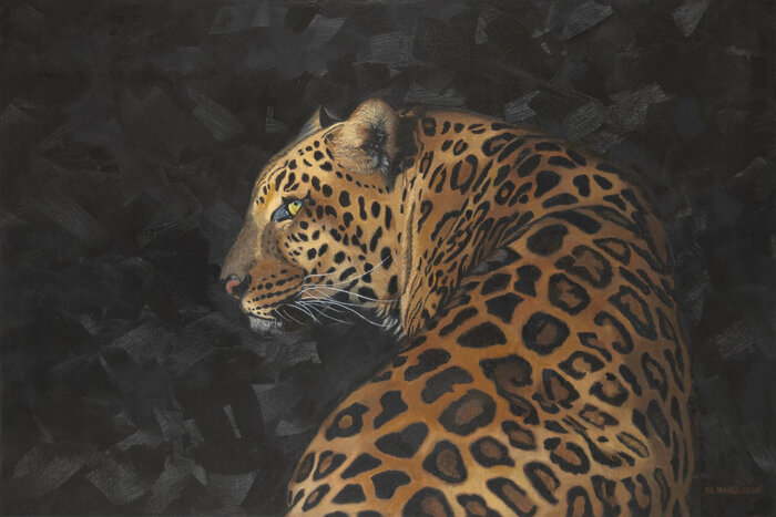 Artwork by Pamela Mangelsdorf, accepted work in the WAOW 54th National Exhibition, Dreamweavers
