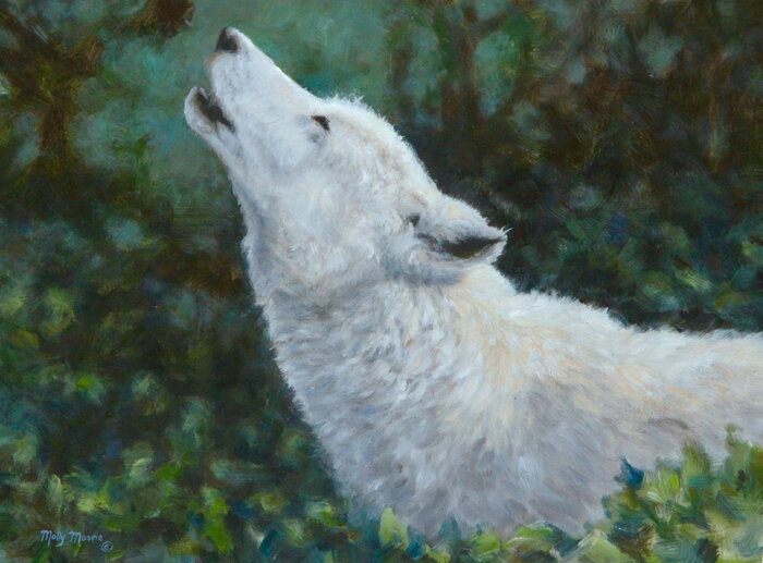 Artwork by Molly Moore, accepted work in the WAOW 54th National Exhibition, Dreamweavers