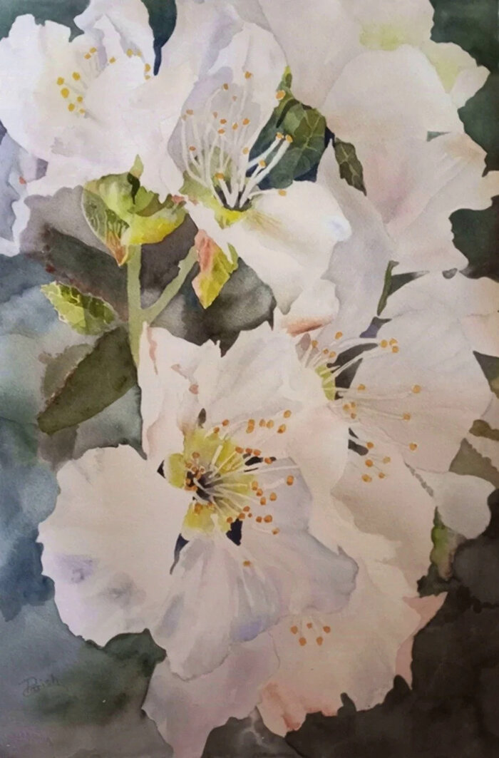 Artwork by Barbara Parish, accepted work in the WAOW 54th National Exhibition, Dreamweavers