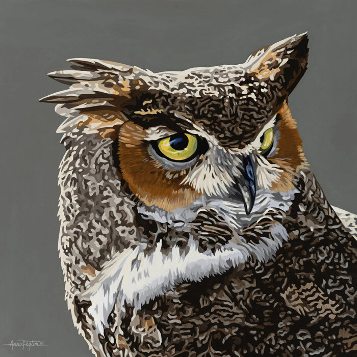 "Maggie" by Anne Peyton, accepted work in the WAOW 54th National Exhibition, Dreamweavers
