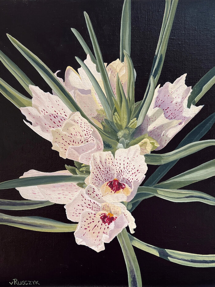 Artwork by Vanessa Rusczyk, accepted work in the WAOW 54th National Exhibition, Dreamweavers