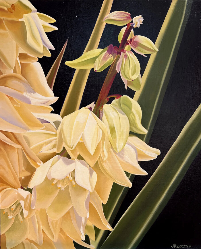 Artwork by Vanessa Rusczyk, accepted work in the WAOW 54th National Exhibition, Dreamweavers