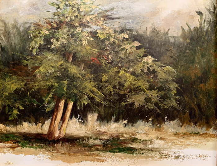 Artwork by Jill Webber, accepted work in the WAOW 54th National Exhibition, Dreamweavers