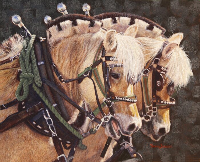 "Fjord Express" by Yvonne Bonacci, accepted work in the WAOW 55th National Exhibition, Homeland