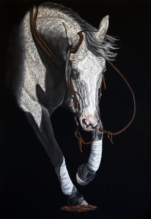 "Rhythm Of The Rein" by Natalie Campbell, accepted work in the WAOW 55th National Exhibition, Homeland
