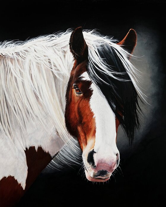 "Fabian Gypsy Vanner" by Laara Cassells, accepted work in the WAOW 55th National Exhibition, Homeland