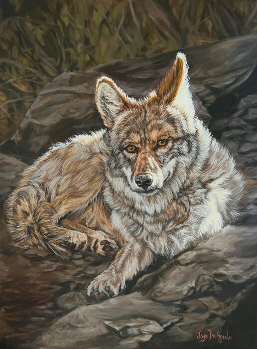 "Made in the Shade" by Joye DeGoede, accepted work in the WAOW 55th National Exhibition, Homeland
