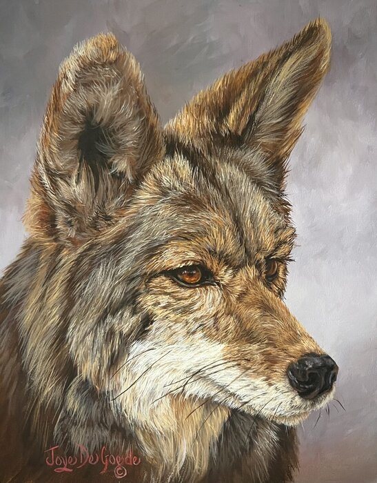 "Rabbit Hunting" by Joye DeGoede, accepted work in the WAOW 55th National Exhibition, Homeland