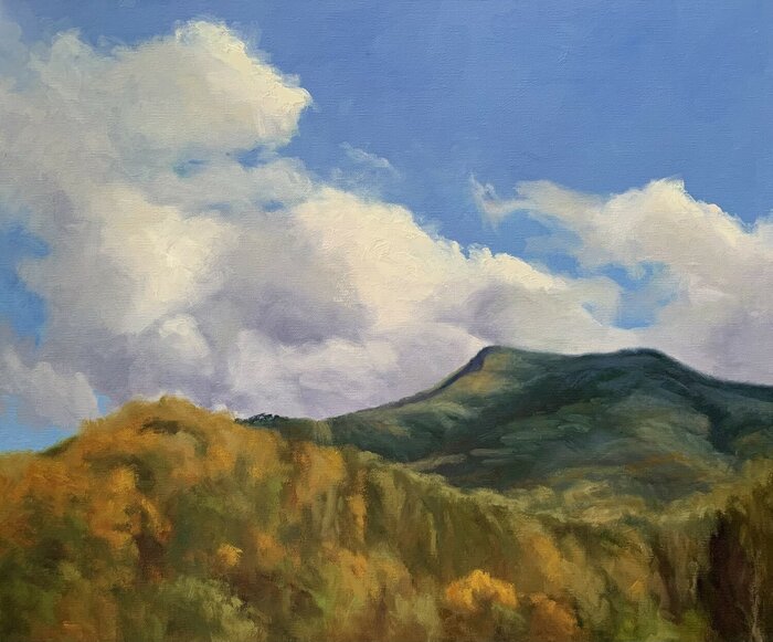 "Appalachian Symphony" by Addren Doss, accepted work in the WAOW 55th National Exhibition, Homeland