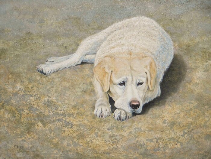 "Faithful Old Friend" by Barbara Ellis, accepted work in the WAOW 55th National Exhibition, Homeland