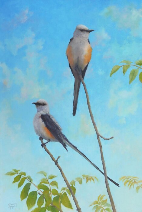 "The Skys the Limit" by Julie Gowing Hayes, accepted work in the WAOW 55th National Exhibition, Homeland