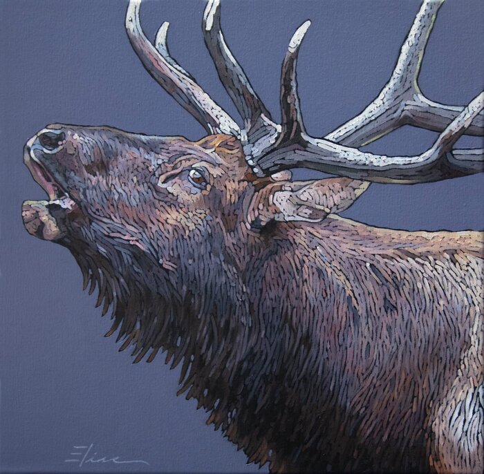 "Dusky Bugler" by Elise Mahaffie, accepted work in the WAOW 55th National Exhibition, Homeland