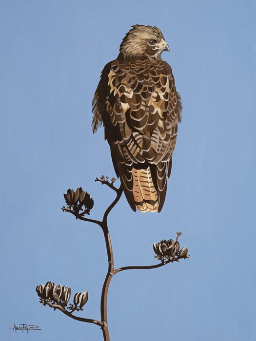 "Agave" by Anne Peyton, accepted work in the WAOW 55th National Exhibition, Homeland