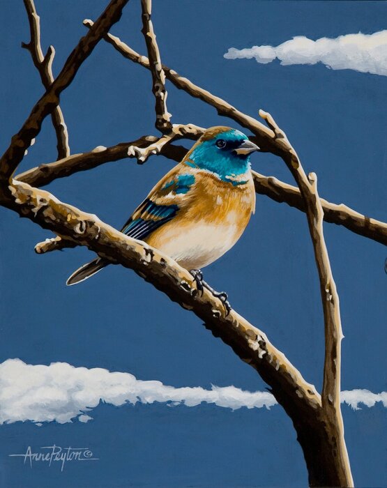 "A Blue on Blue" by Anne Peyton, accepted work in the WAOW 55th National Exhibition, Homeland