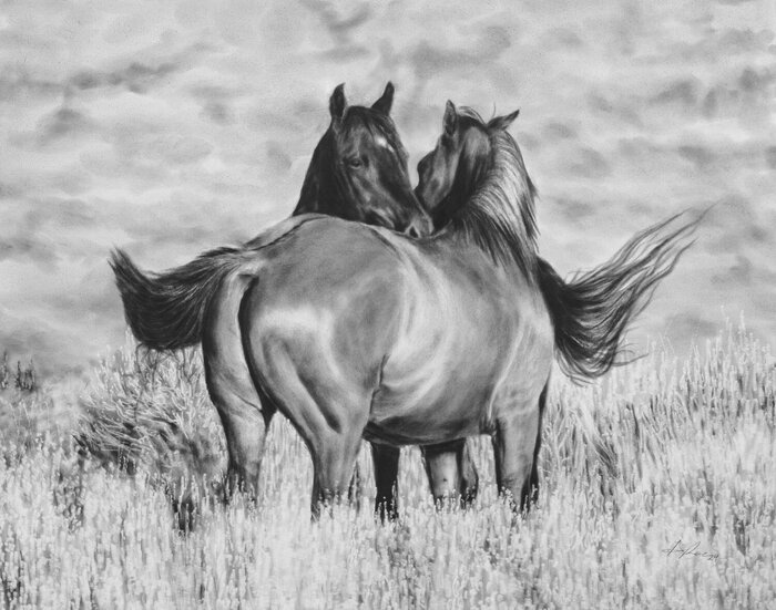 "Cairdeas" by Amber Scally, accepted work in the WAOW 55th National Exhibition, Homeland
