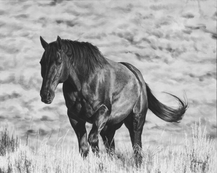 "Capall Tran" by Amber Scally, accepted work in the WAOW 55th National Exhibition, Homeland
