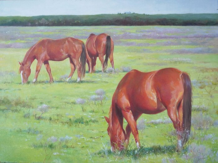"Summer Grazing" by Sandyaa Shetty, accepted work in the WAOW 55th National Exhibition, Homeland
