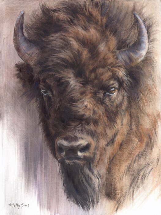 "Bison Portrait" by Molly Ann Sims, Award of Merit Best Animal, accepted work in the WAOW 55th National Exhibition, Homeland