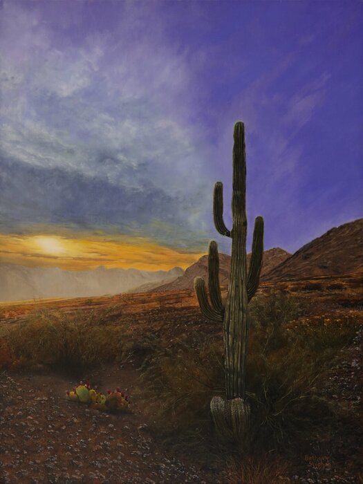 "Saguaro Looking West" by Bethany Stephan, accepted work in the WAOW 55th National Exhibition, Homeland