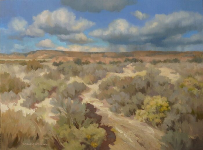 "Abiquiu Desert" by Susan Temple Newmann, AOTW Magazine Award, accepted work in the WAOW 55th National Exhibition, Homeland