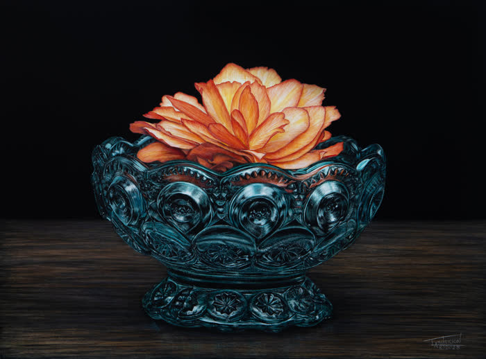 Tranquil Moment by Tracy Anderson, Scratchboard, accepted work in the WAOW 56th National Exhibition, Limitless
