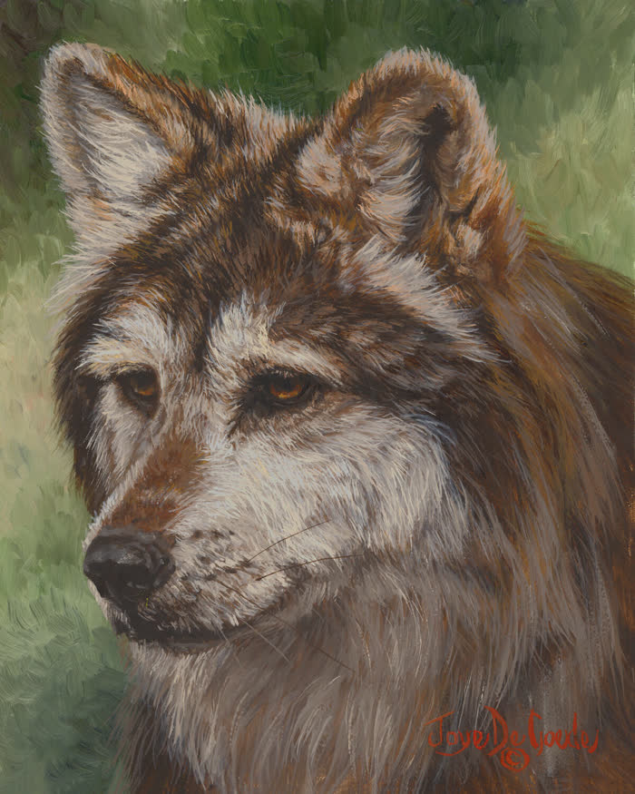 Focused by Joye DeGoede, Oil, accepted work in the WAOW 56th National Exhibition, Limitless