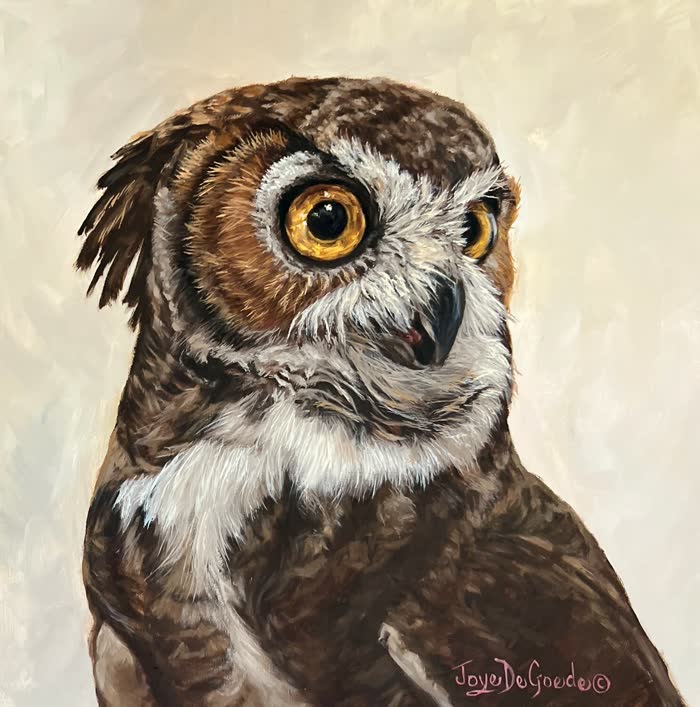 Whooo Dunit? by Joye DeGoede, Oil, accepted work in the WAOW 56th National Exhibition, Limitless