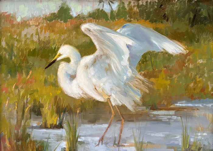Snowy Egret Fishing In the Marshes by Katherine Galbraith, Oil, accepted work in the WAOW 56th National Exhibition, Limitless