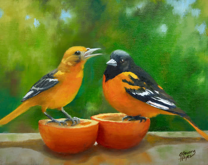 Morning Chat by Julie Hayes, Oil, accepted work in the WAOW 56th National Exhibition, Limitless