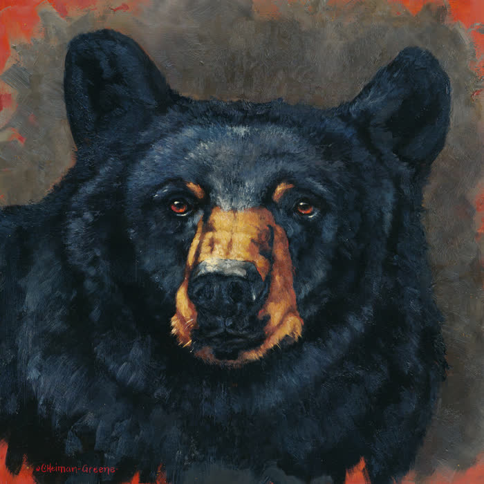 Black Beauty by Carol Heiman-Greene, Oil, accepted work in the WAOW 56th National Exhibition, Limitless