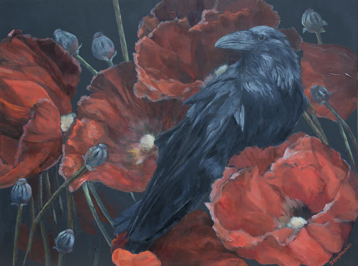 Raven With Poppies by Debbie Hughbanks, Acrylic, accepted work in the WAOW 56th National Exhibition, Limitless