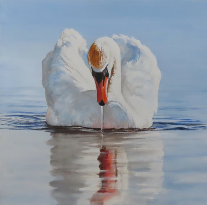 Mystical Mute by Reenie Kennedy, Acrylic, accepted work in the WAOW 56th National Exhibition, Limitless