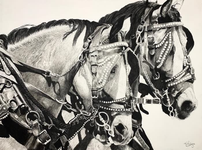 Ties That Bind by Kathy LeJeune, Charcoal, accepted work in the WAOW 56th National Exhibition, Limitless
