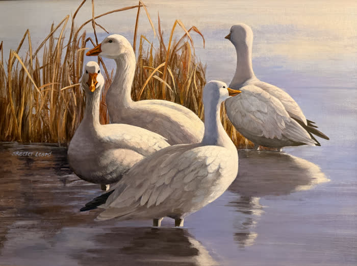 Quartet Geese by Skeeter Leard, Acrylic, accepted work in the WAOW 56th National Exhibition, Limitless