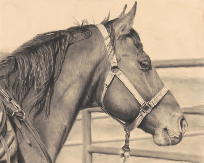Starr Valley Bay by Rhonda Morfin, Charcoal, accepted work in the WAOW 56th National Exhibition, Limitless