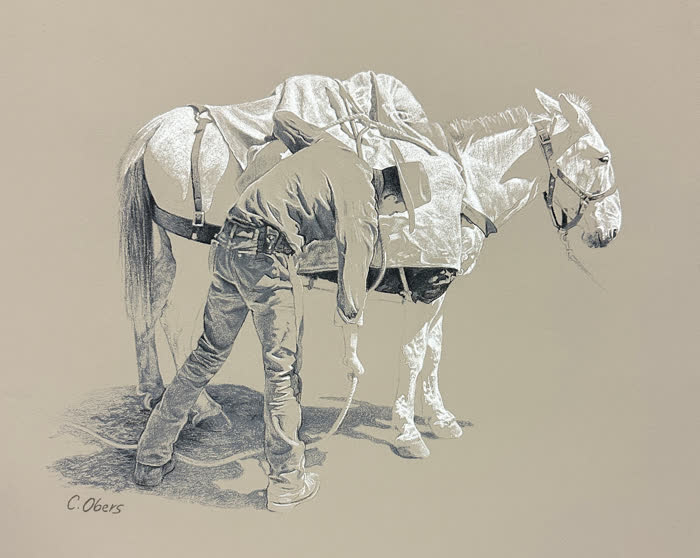 Gearing UP by Christine Obers, Pastel, accepted work in the WAOW 56th National Exhibition, Limitless