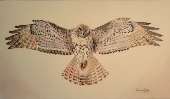 Eye in the Sky by Laurie Riley, Colored pencil, accepted work in the WAOW 56th National Exhibition, Limitless