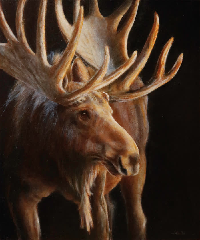 Alces Borealis Forma by Sandra Schultz, Oil, accepted work in the WAOW 56th National Exhibition, Limitless