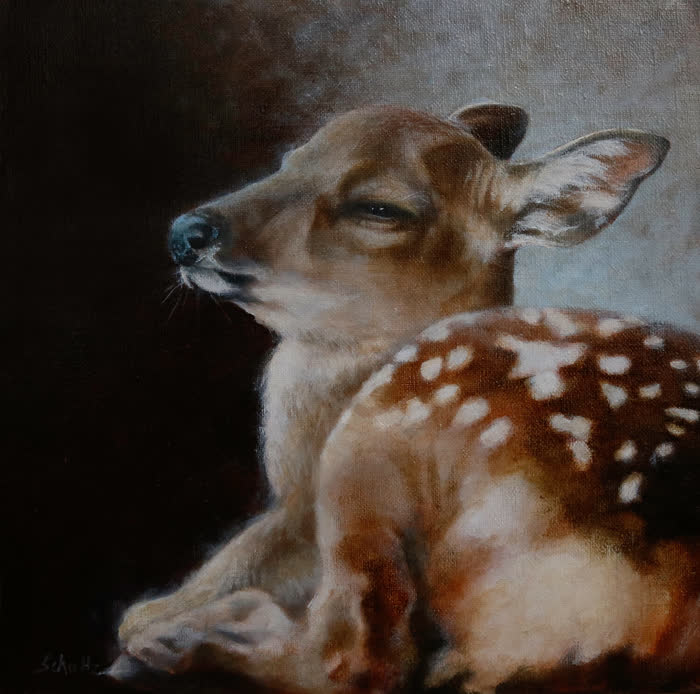 Innocence by Sandra Schultz, Oil, accepted work in the WAOW 56th National Exhibition, Limitless