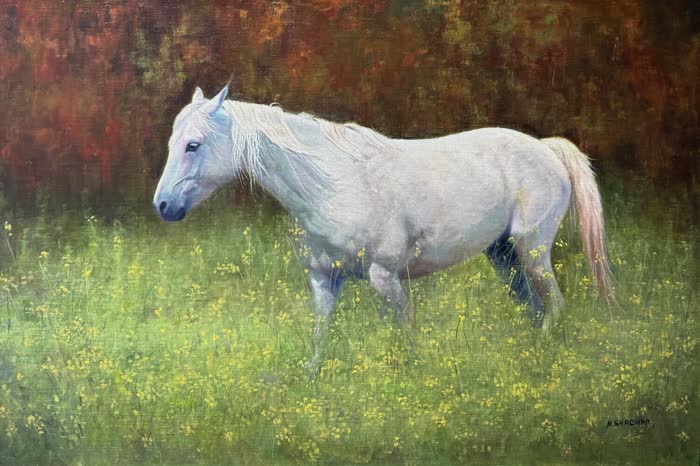 No Worries by Naomi Shachar, Oil, accepted work in the WAOW 56th National Exhibition, Limitless
