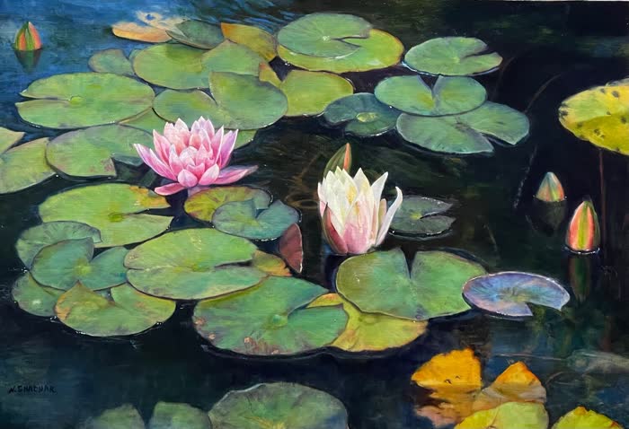 Pink and White by Naomi Shachar, Oil, accepted work in the WAOW 56th National Exhibition, Limitless