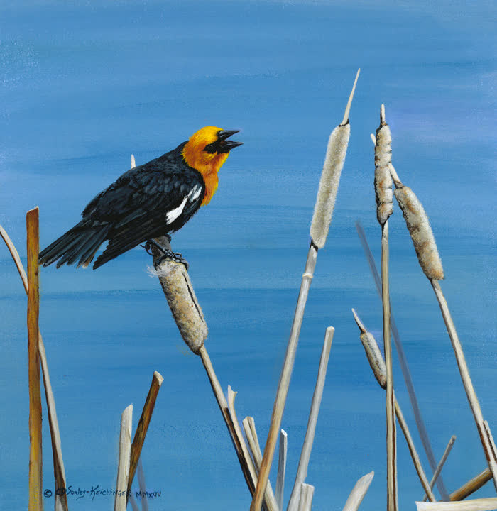 Springtime Suitor by Cindy Sorley-Keichinger, Acrylic, accepted work in the WAOW 56th National Exhibition, Limitless