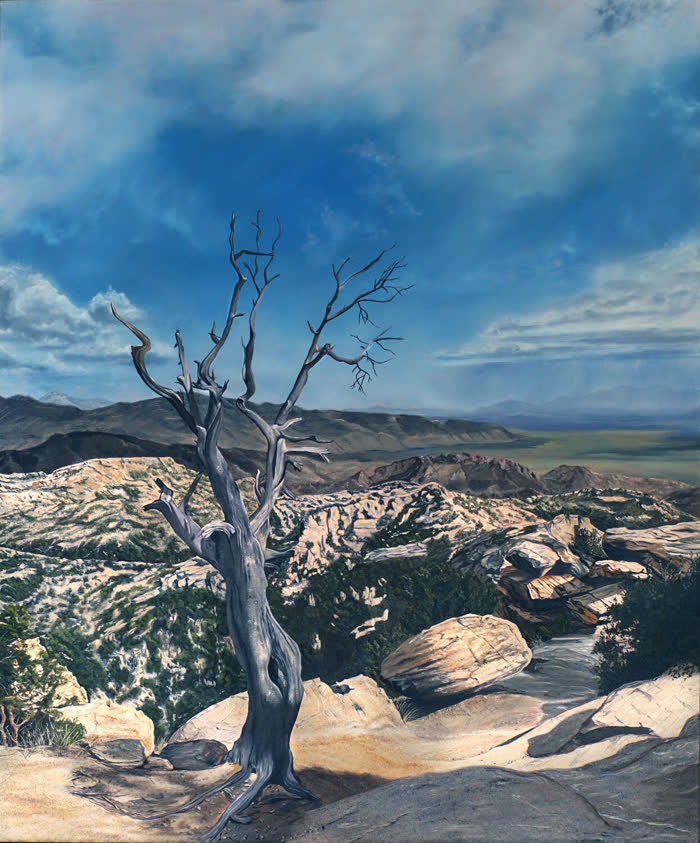 Sentinel of Tucson by Bethany Stephan, Oil, accepted work in the WAOW 56th National Exhibition, Limitless