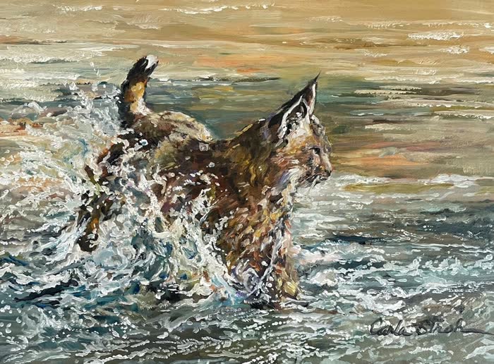 Many Rivers to Cross by Carla Stroh, Oil, accepted work in the WAOW 56th National Exhibition, Limitless