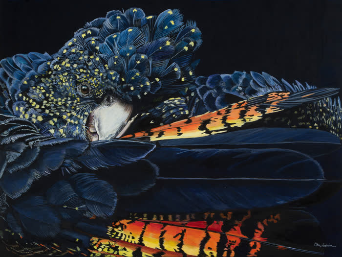 Aussie Banks by Cher Swain, Acrylic, accepted work in the WAOW 56th National Exhibition, Limitless